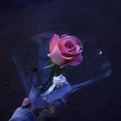 快3大小单双平台